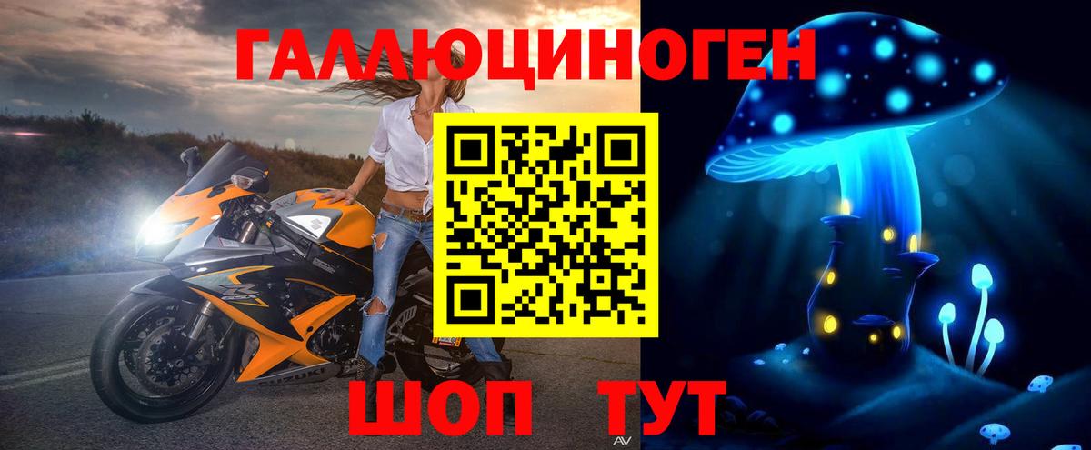 Псилоцибиновые грибы Psilocybine cubensis Барабинск